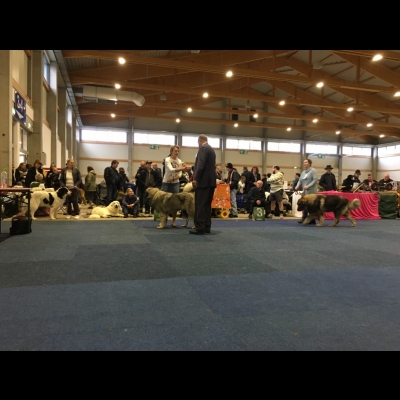 IDS KASSEL'18 - VALKYRIA